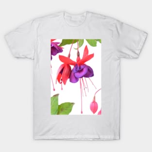 Fuchsia  &#39;Voodoo&#39; T-Shirt